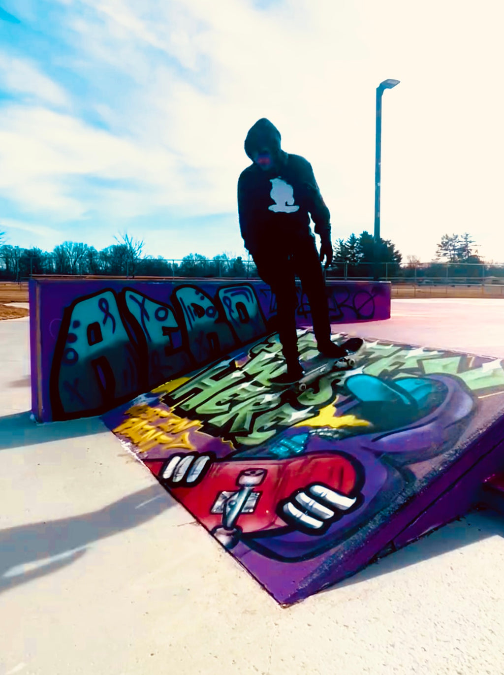 Silhouette Hoodie